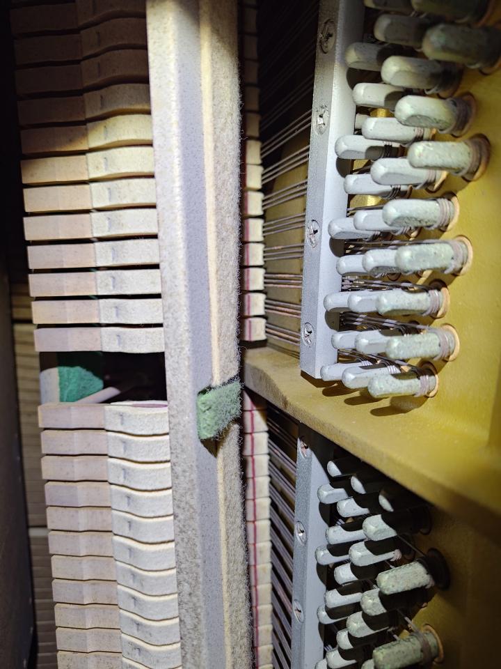 樂器行案件圖片