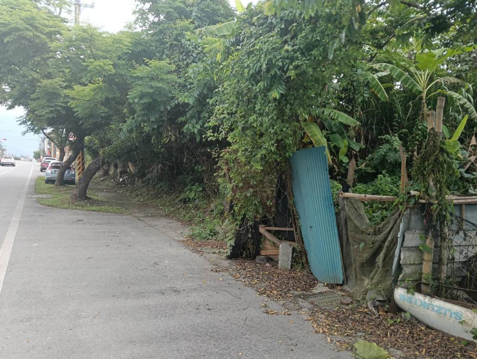 園藝維護案件圖片