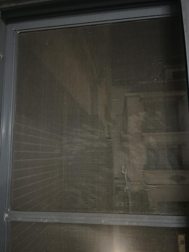 紗窗裝修案件圖片