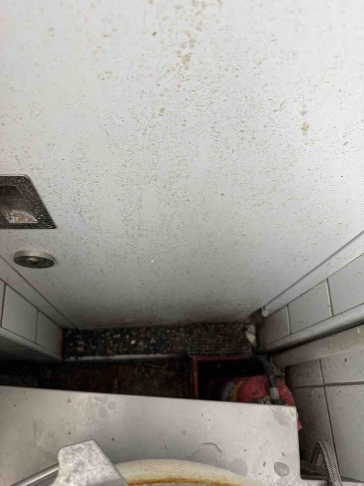 廚房清潔案件圖片