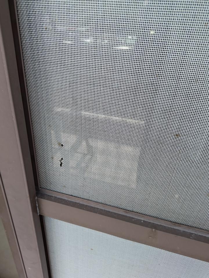 紗窗裝修案件圖片