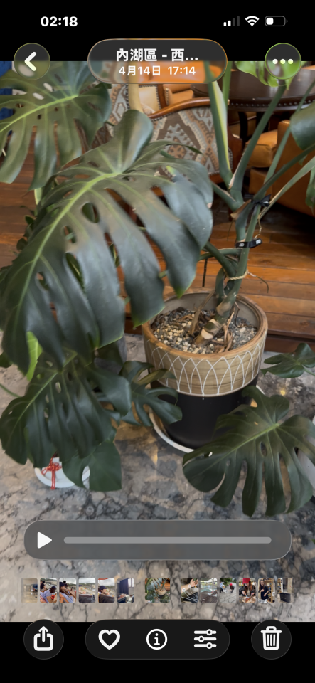 園藝維護案件圖片