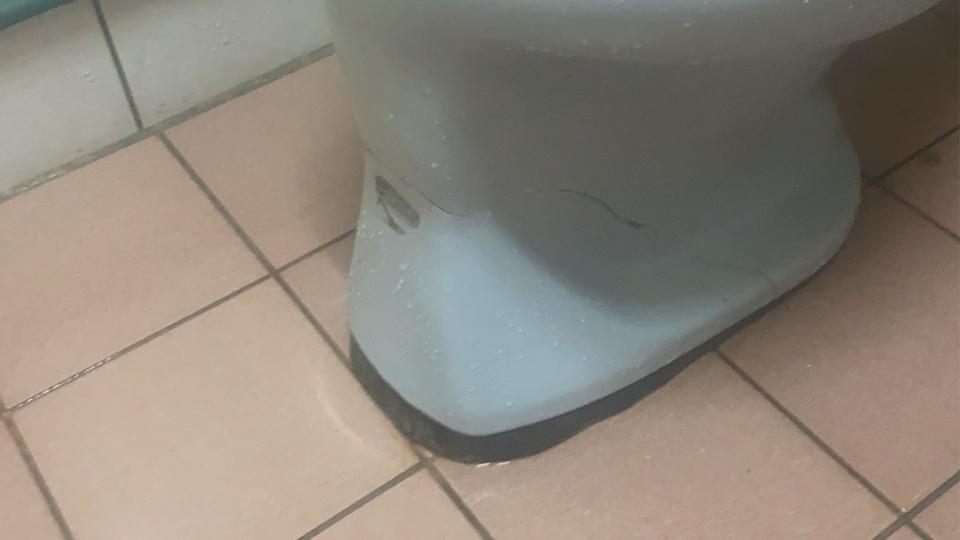 馬桶裝修案件圖片