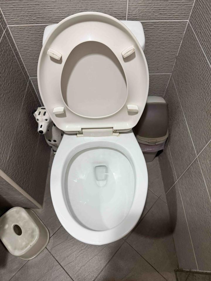 馬桶裝修案件圖片