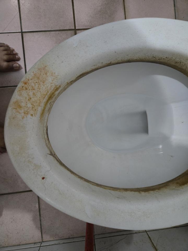 馬桶裝修案件圖片