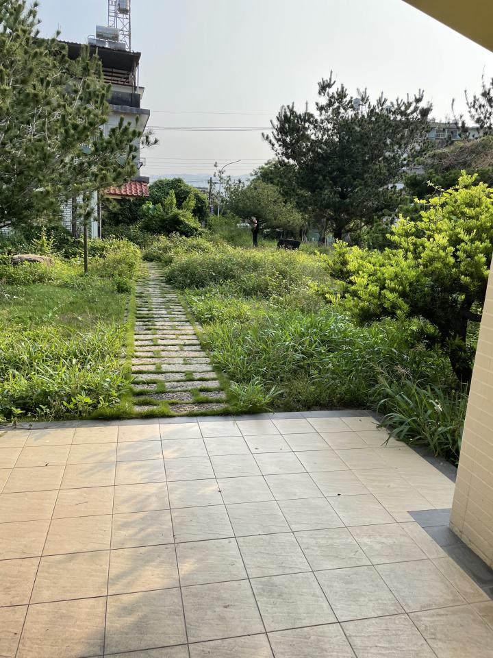 園藝維護案件圖片