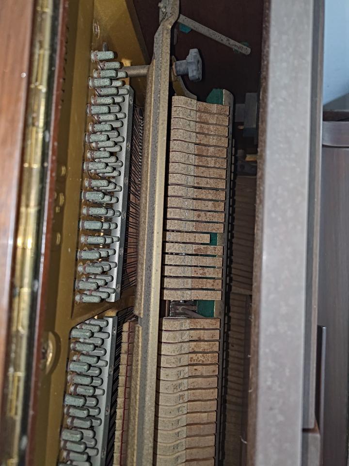 樂器行案件圖片