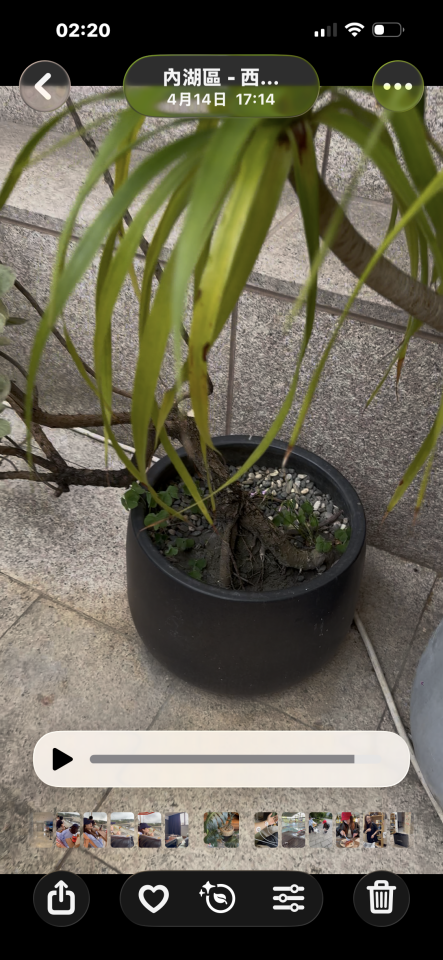 園藝維護案件圖片