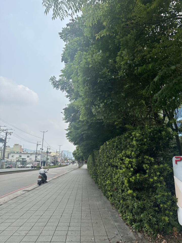 園藝維護案件圖片