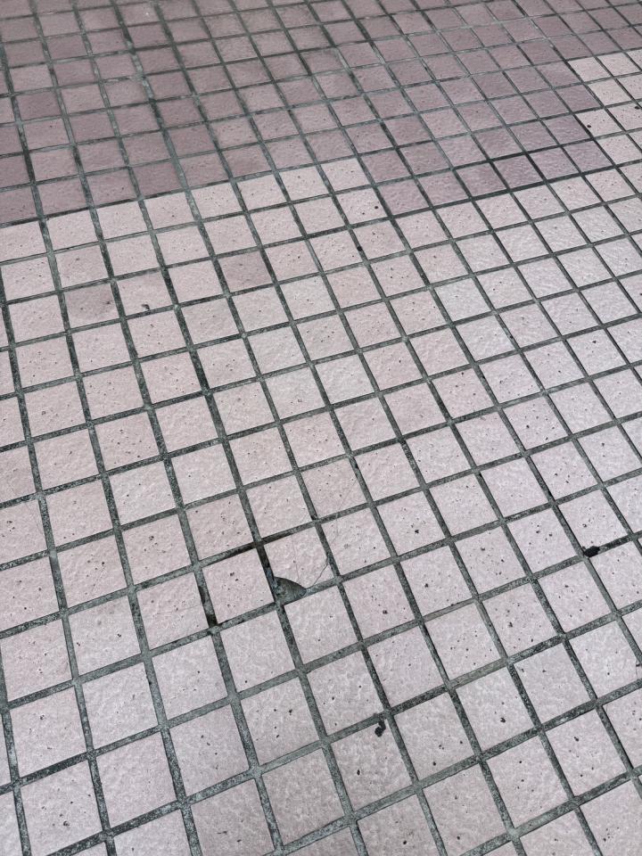 泥作/水泥施工案件圖片