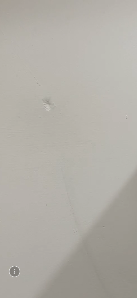 油漆工程案件圖片