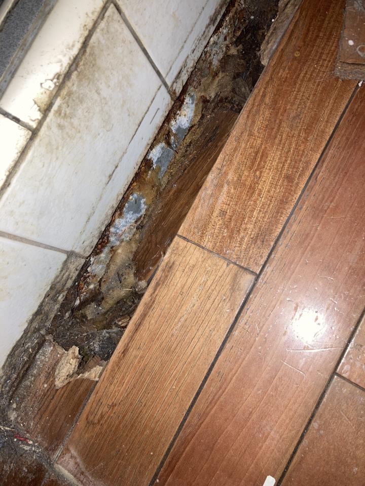 漏水處理案件圖片