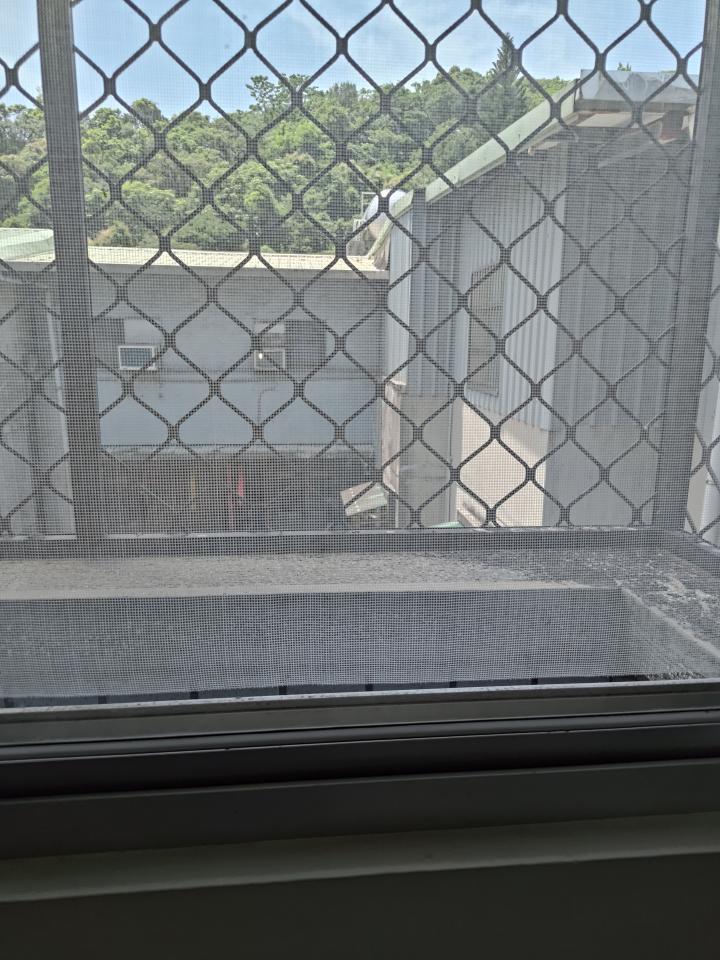 紗窗裝修案件圖片