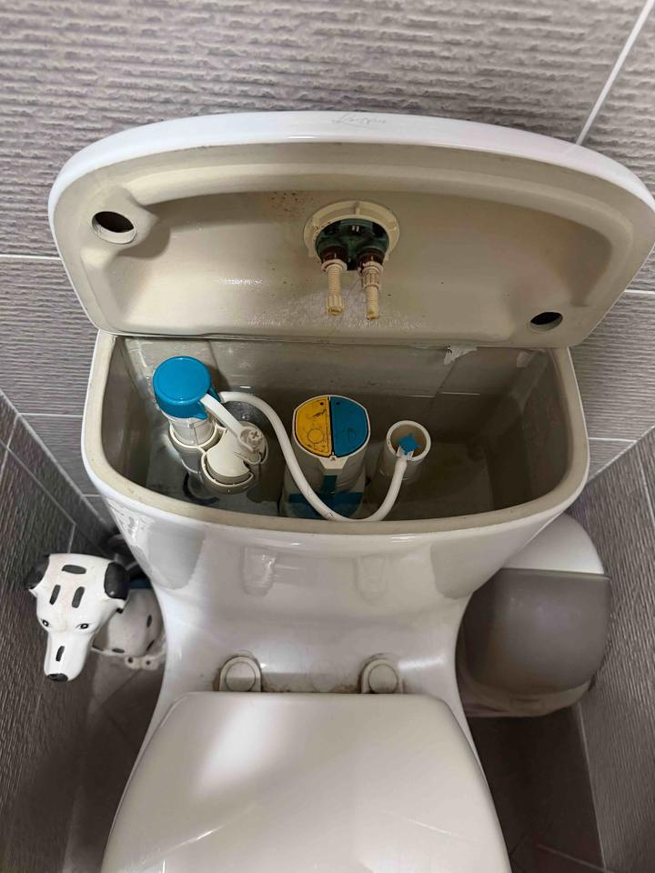 馬桶裝修案件圖片