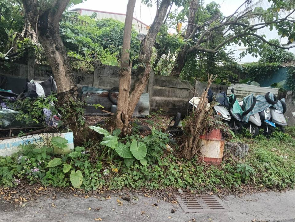 園藝維護案件圖片