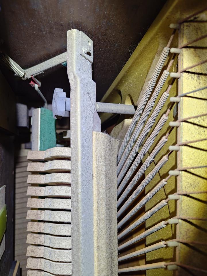 樂器行案件圖片