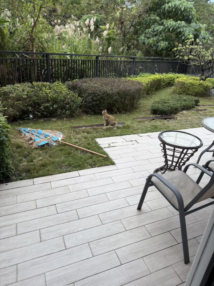 園藝設計案件圖片