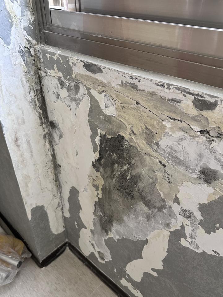 油漆工程案件圖片