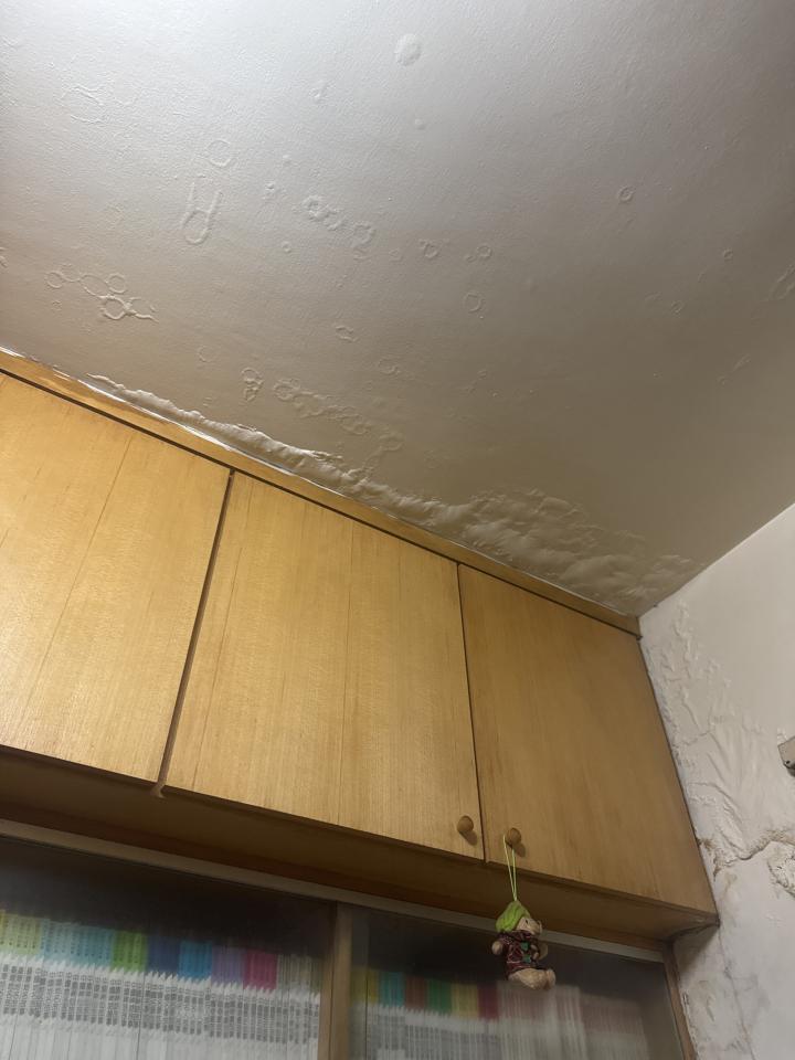 壁癌處理案件圖片