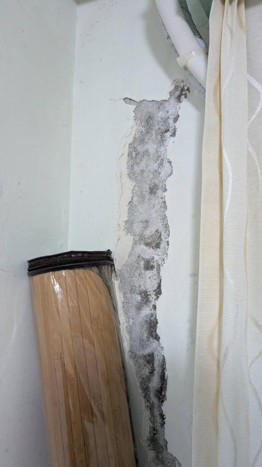 漏水處理案件圖片