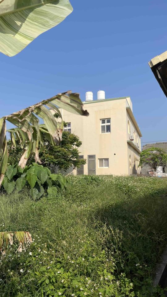 園藝維護案件圖片