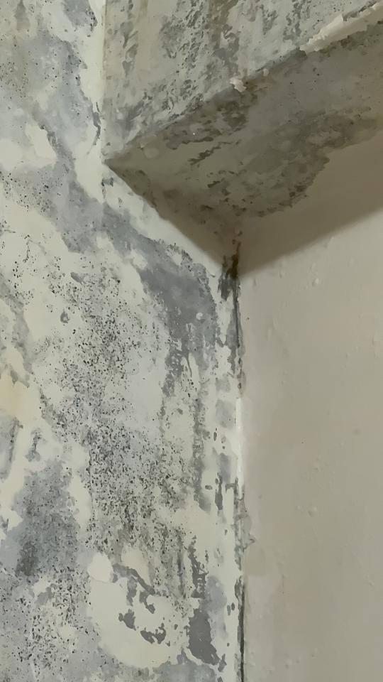 壁癌處理案件圖片