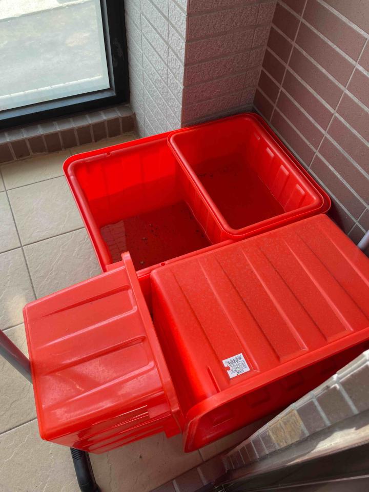 廚房清潔案件圖片