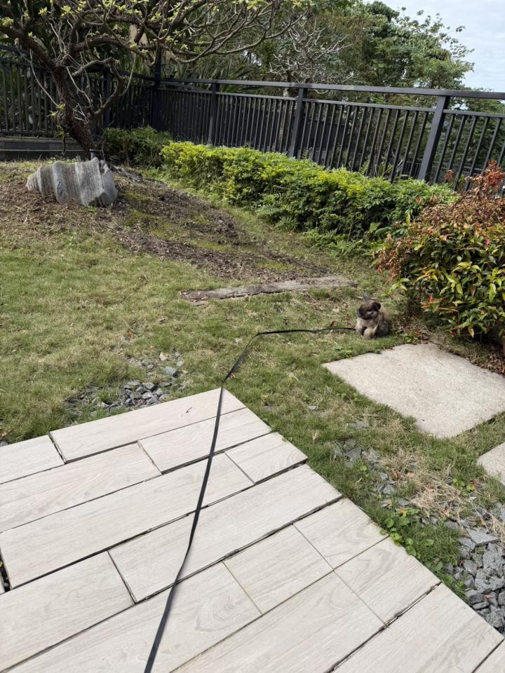 園藝設計案件圖片