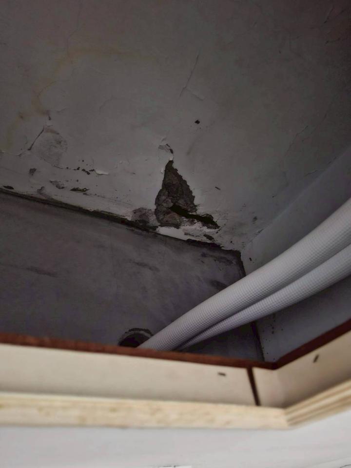 鋼筋外露處理案件圖片