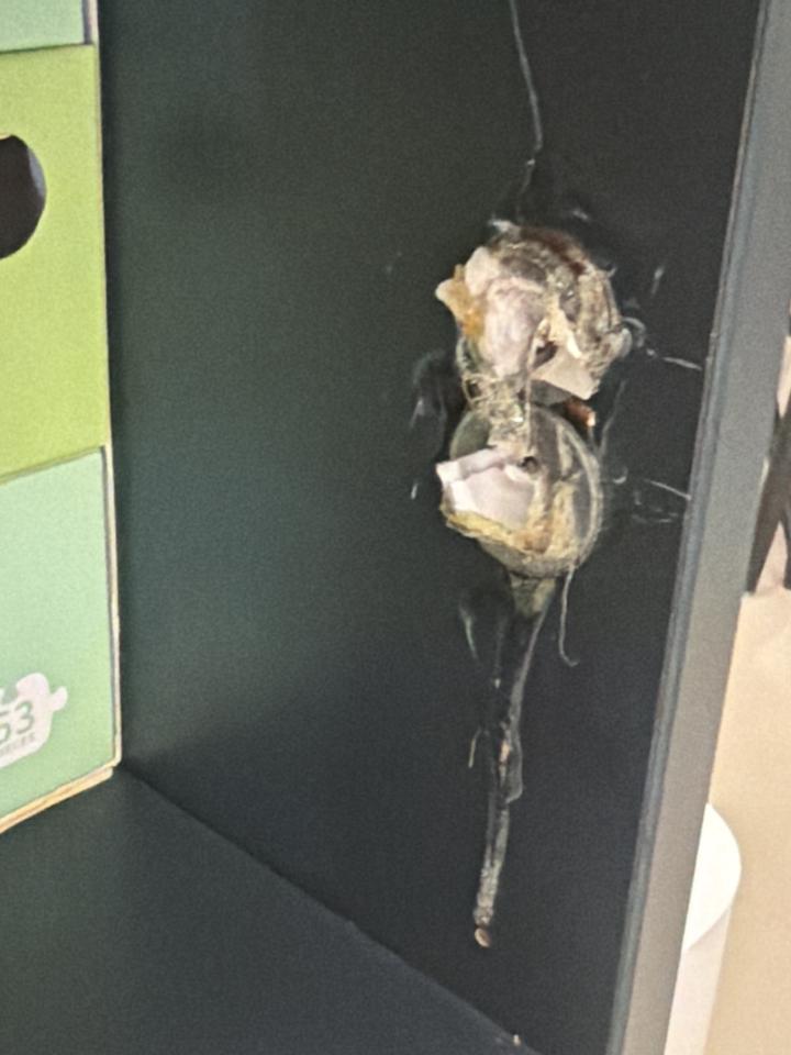 家具維修案件圖片