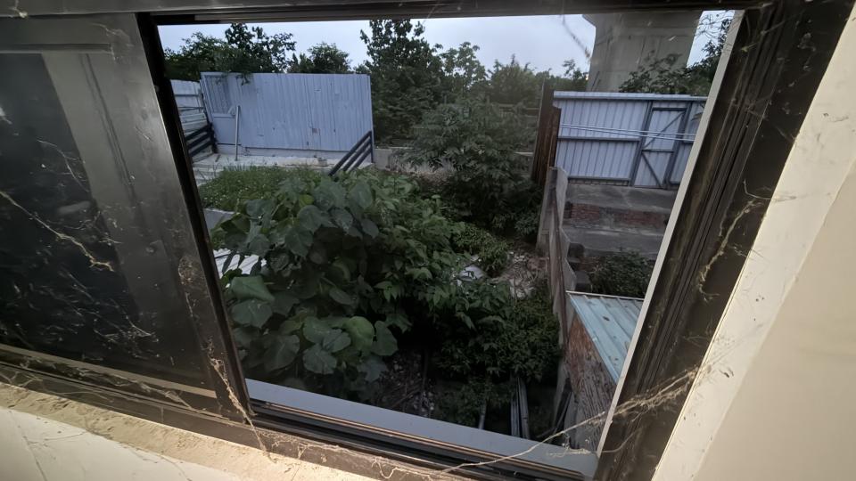 園藝維護案件圖片