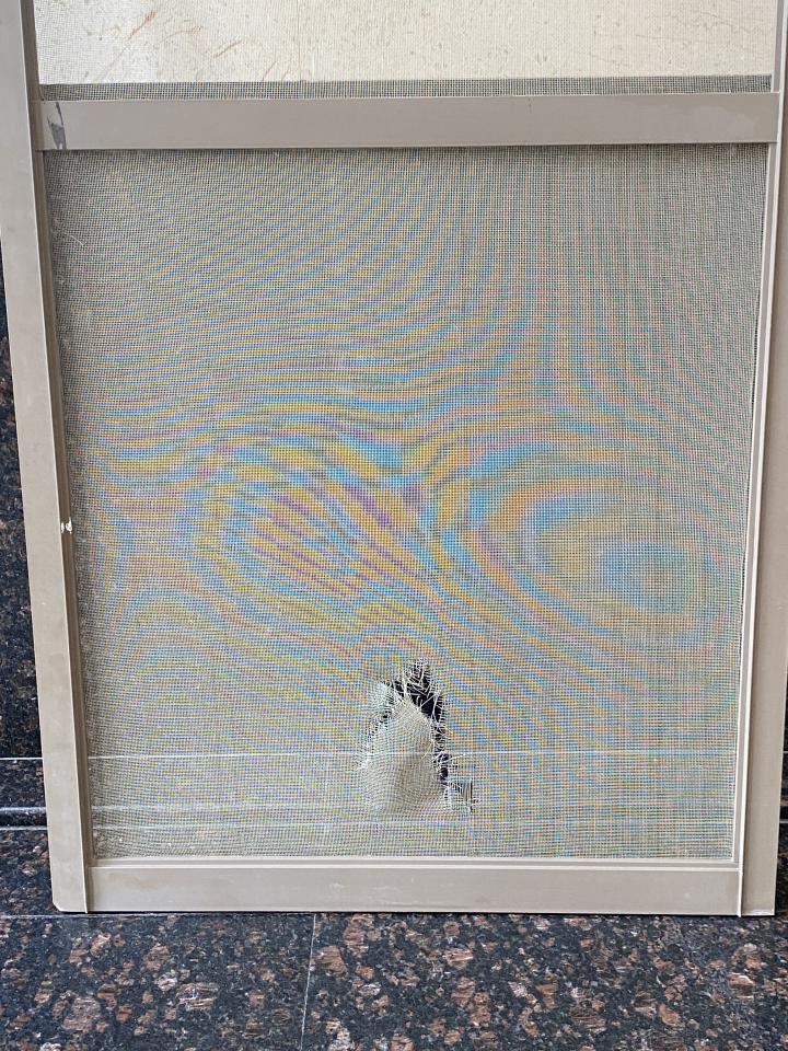 紗窗裝修案件圖片