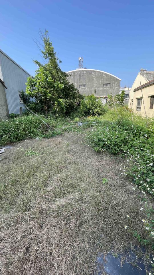 園藝維護案件圖片