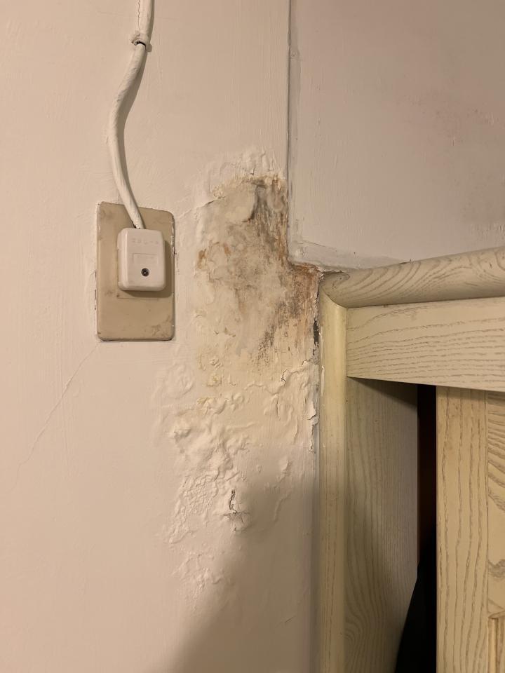 漏水處理案件圖片