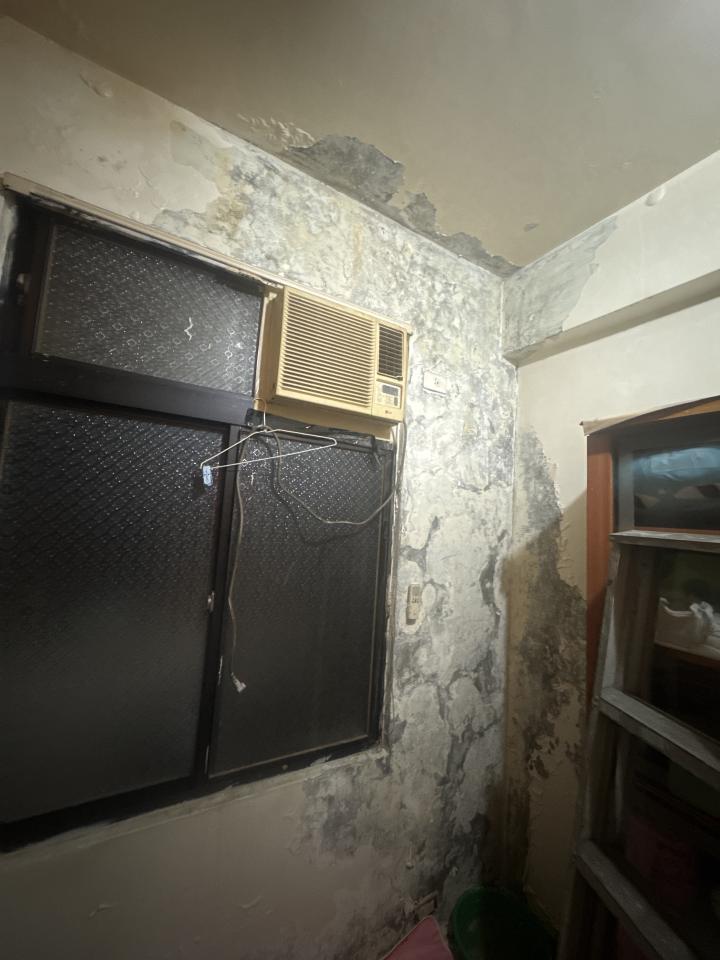 壁癌處理案件圖片