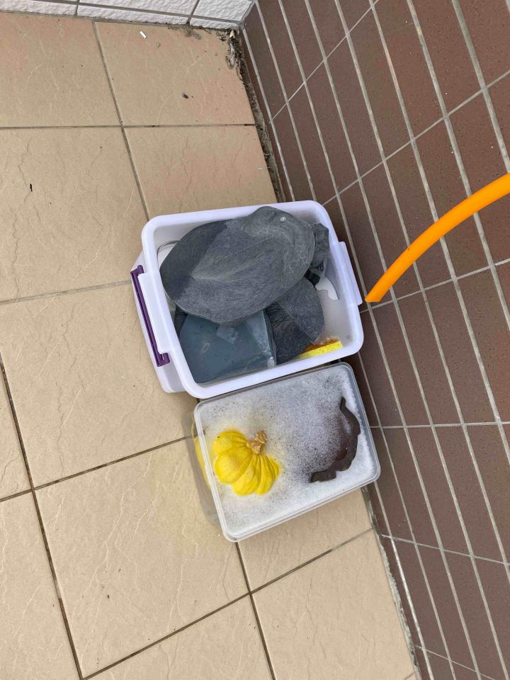 廚房清潔案件圖片