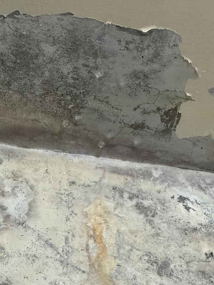 壁癌處理案件圖片