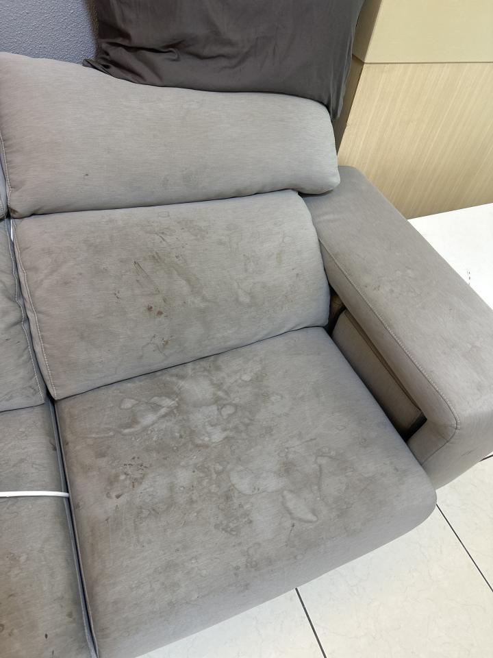 沙發清潔案件圖片