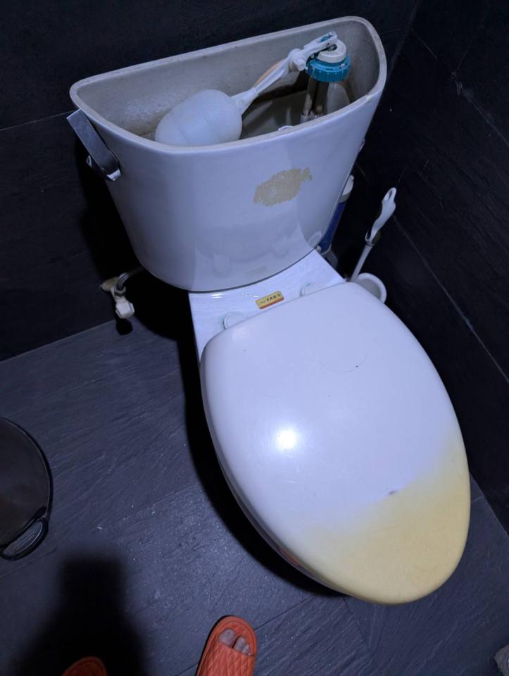 馬桶裝修案件圖片