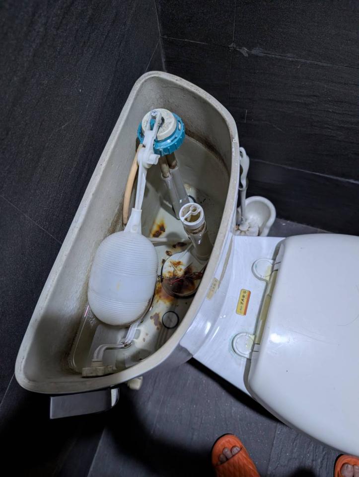 馬桶裝修案件圖片