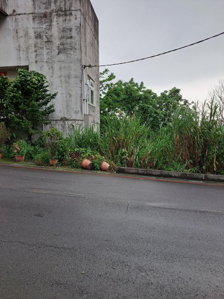 園藝維護案件圖片