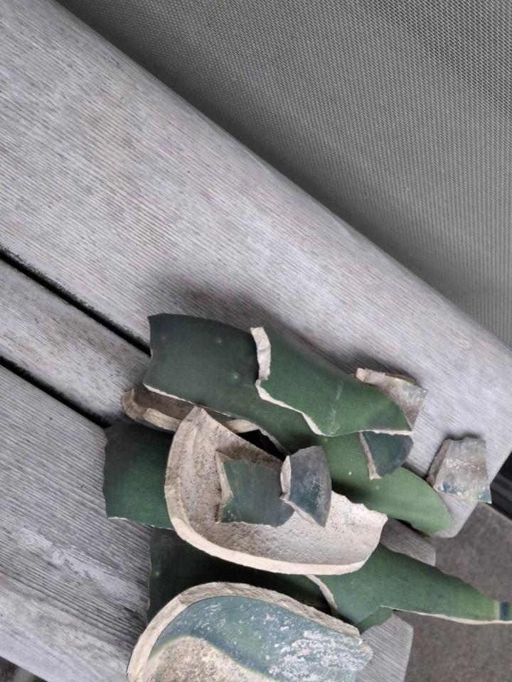 防墜網安裝案件圖片