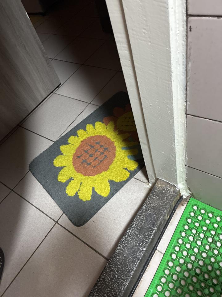 浴室門案件圖片