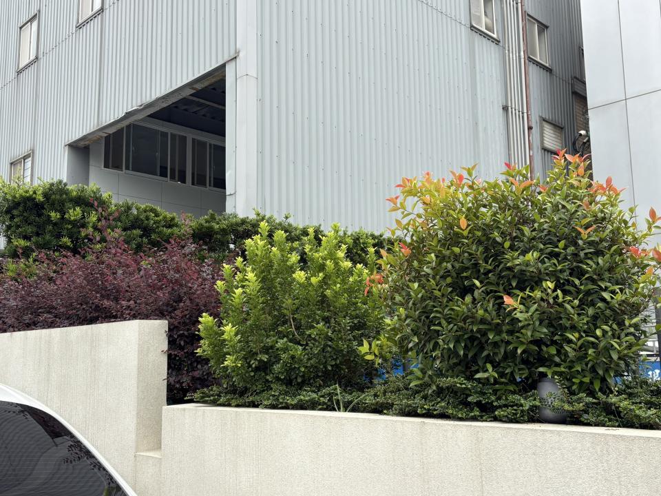 園藝維護案件圖片