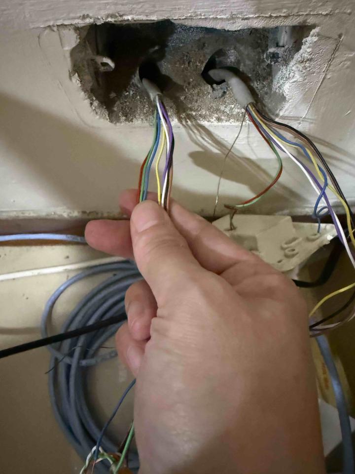 拉網路線案件圖片