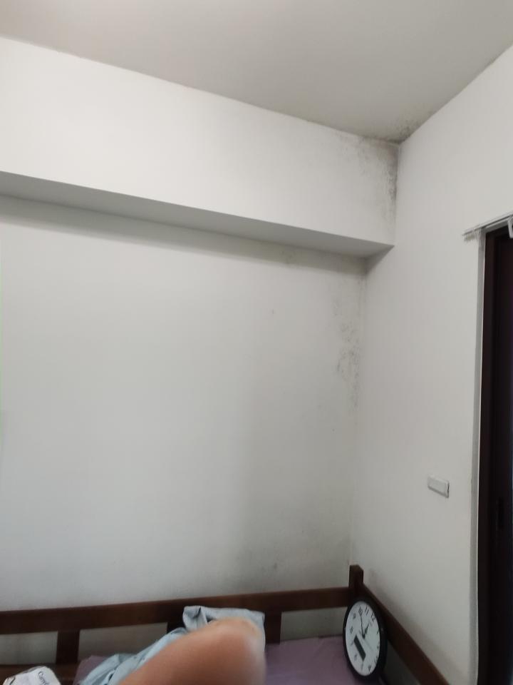 油漆工程案件圖片