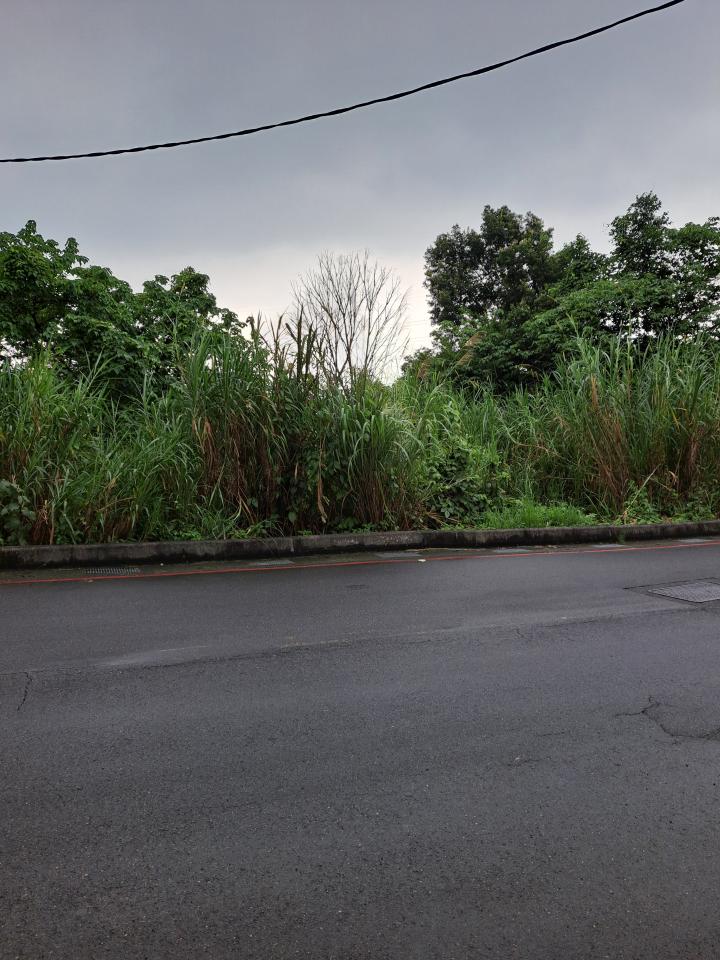 園藝維護案件圖片