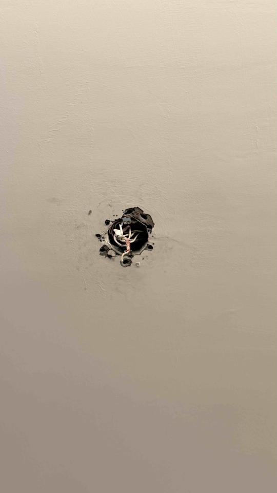 燈具安裝案件圖片