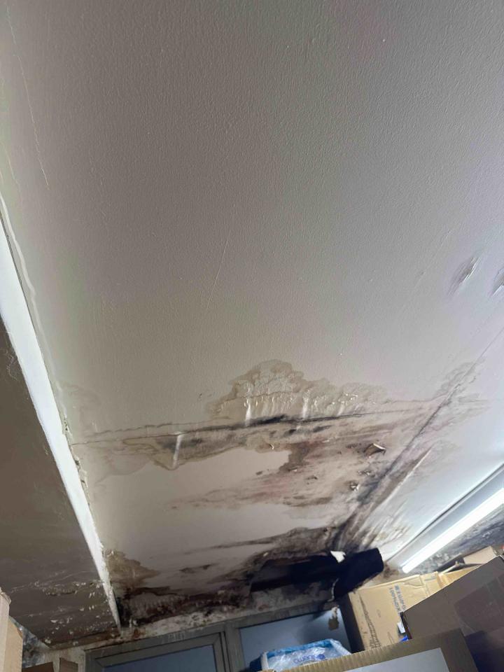 木工施工案件圖片