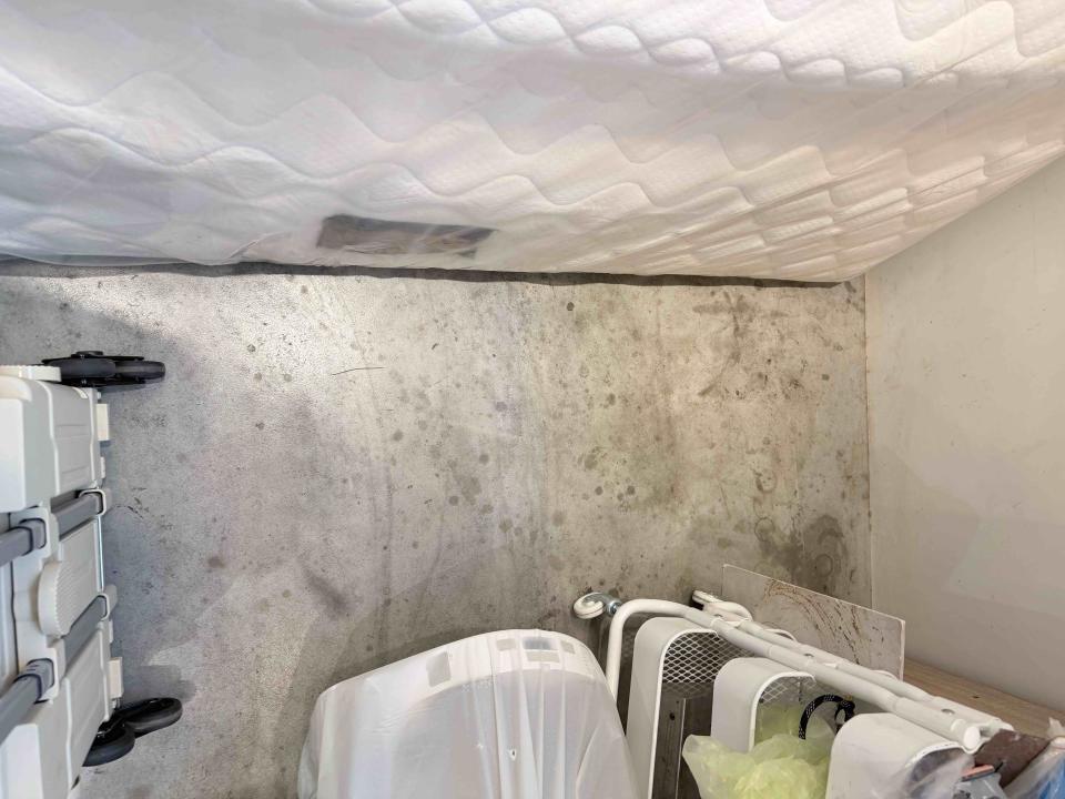 自平水泥案件圖片